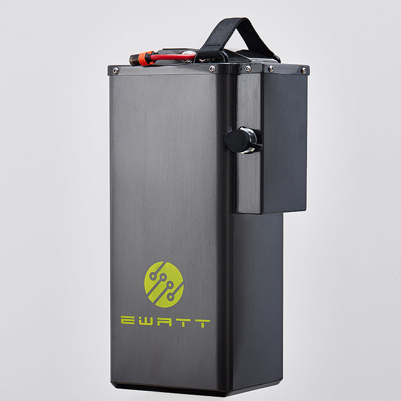 60V 65AH Surron Light Bee Battery