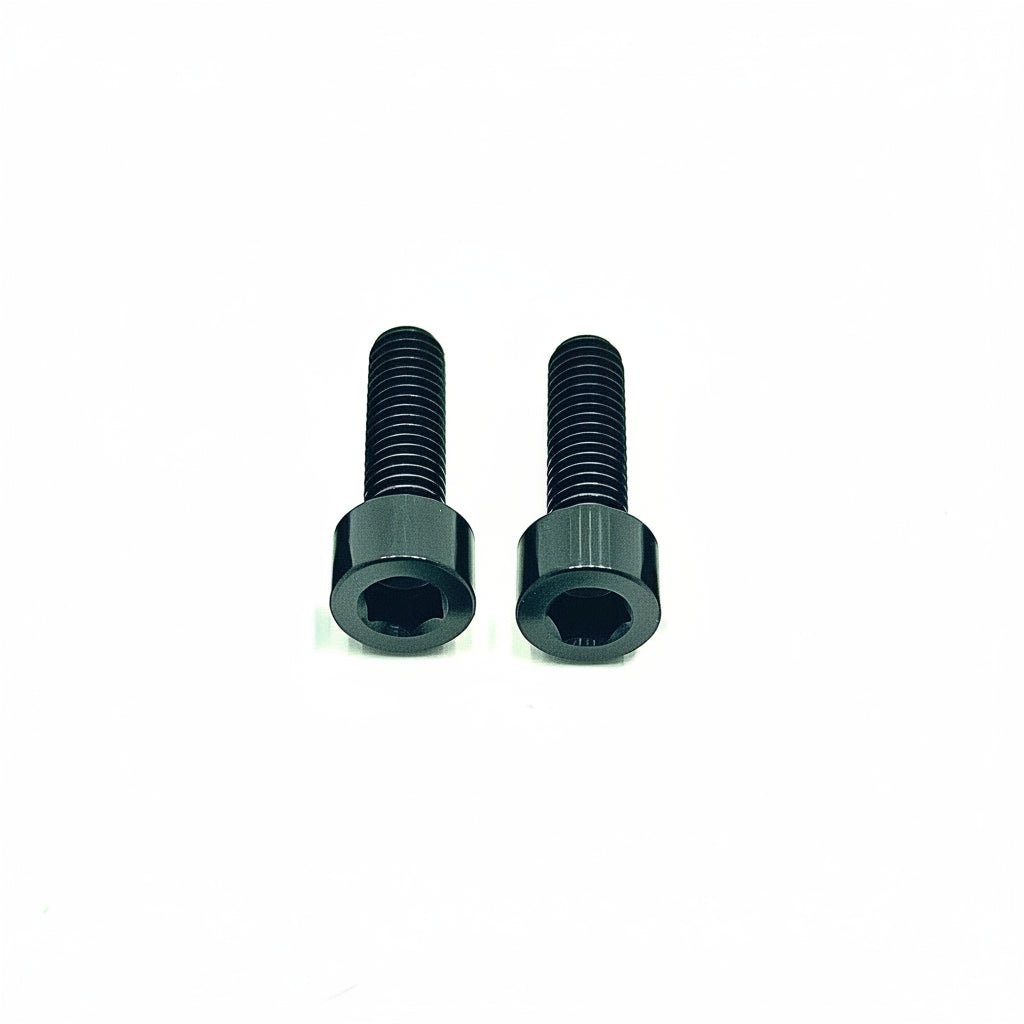 Titanium Motor Cover Bolts (Set of Two) Surron, Segway, 79 Bike, ERP