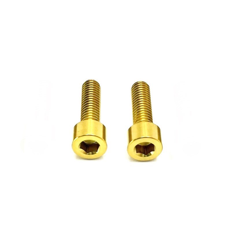 Titanium Motor Cover Bolts (Set of Two) Surron, Segway, 79 Bike, ERP