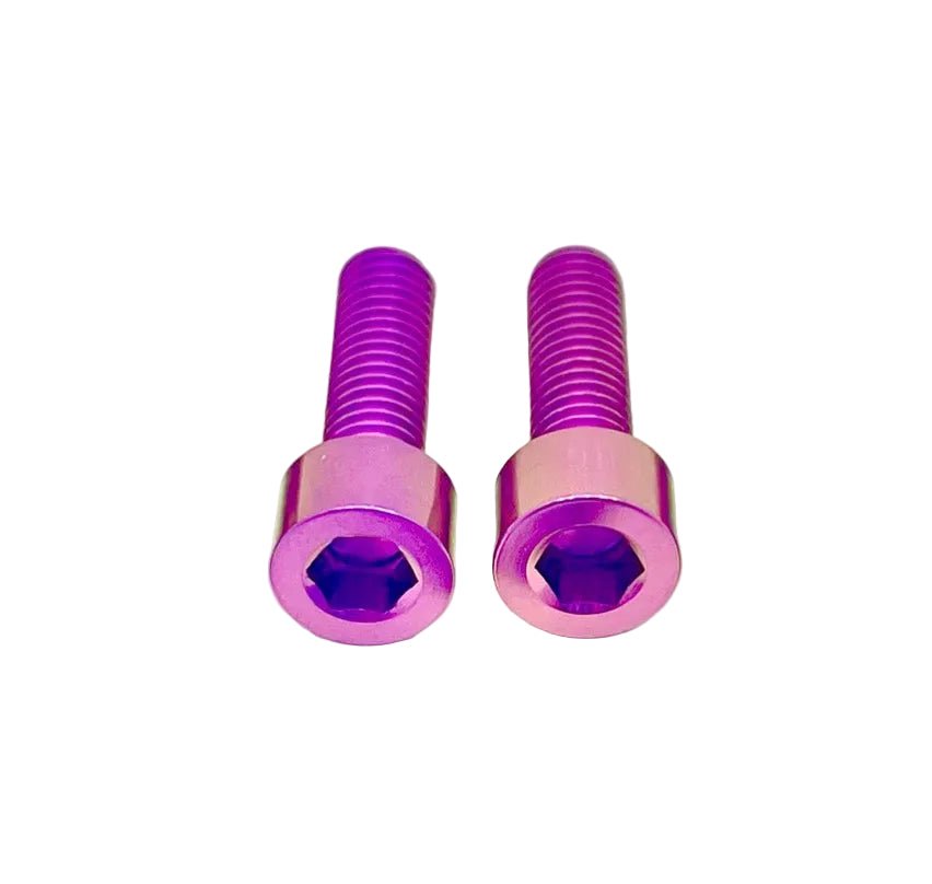 Titanium Motor Cover Bolts (Set of Two) Surron, Segway, 79 Bike, ERP