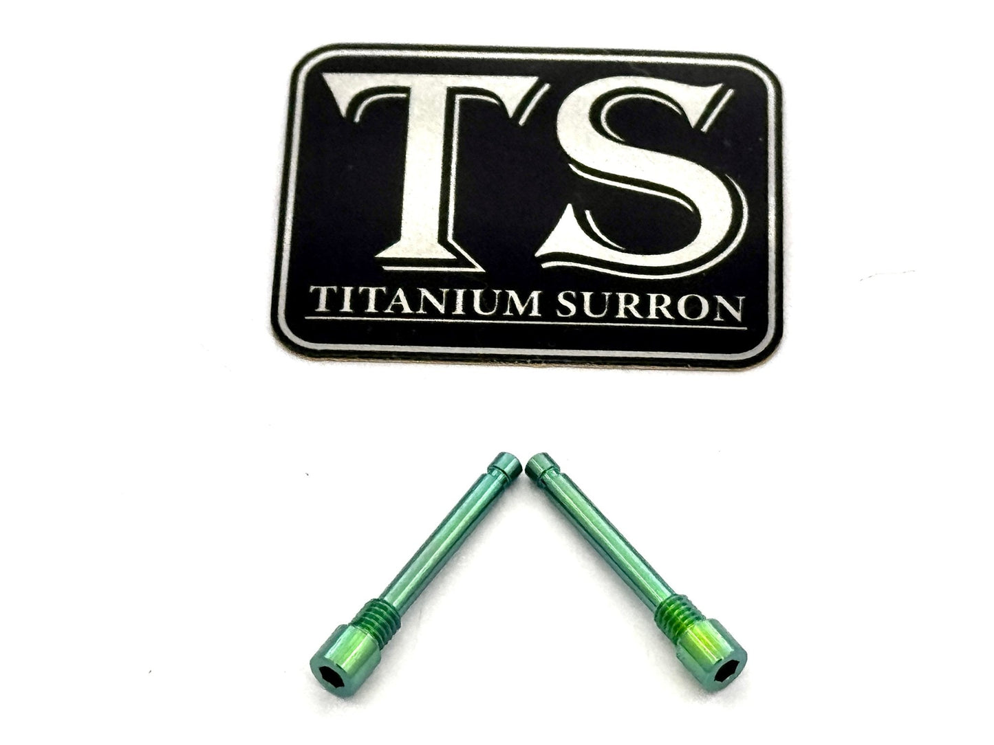 Brake-Pad Screws/ Pins - Surron LBX, Segway X260, Talaria (set of two)