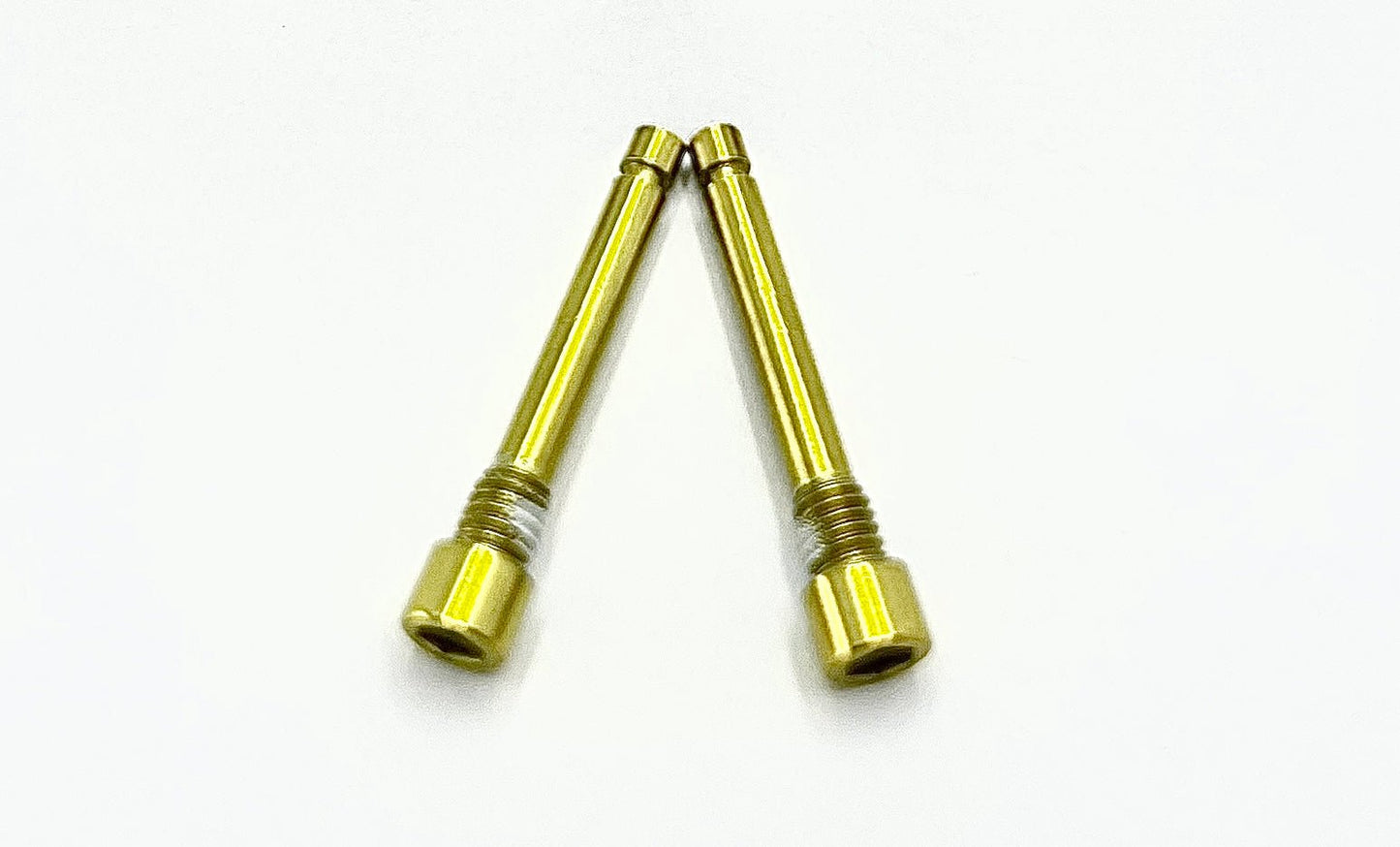 Brake-Pad Screws/ Pins - Surron LBX, Segway X260, Talaria (set of two)